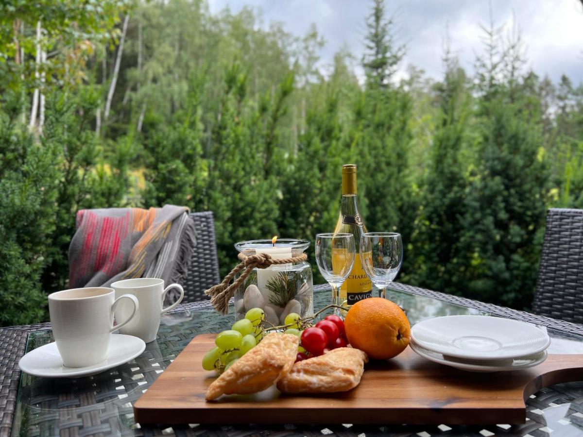Dolina Wikingow-Apartament Suite Z Tarasem W Ogrodzie, Miejscem W Garazu I Dostepem Do Strefy Wellness 스클라르스카포렘바 외부 사진
